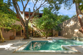 Welcome to Paradise - Luxurious Studio Oasis 
